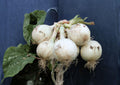 Ringmaster Onion Seeds – 50 Heirloom Large White Bulb Vegetable Seeds, Long Day, Mild & Sweet Flavor
