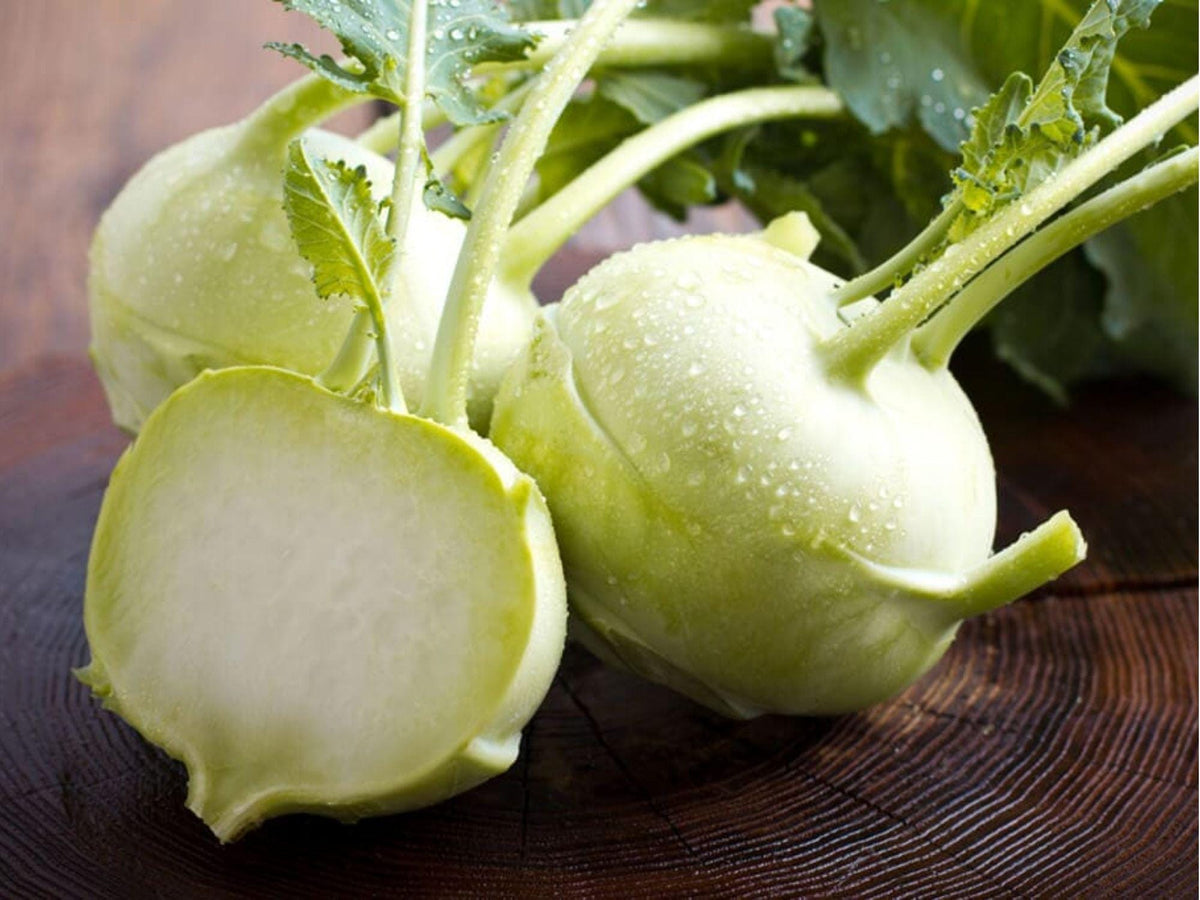 White Vienna Kohlrabi Seeds – Heirloom, Non-GMO, Cold Hardy Vegetable, Edible Greens, Brassica oleracea