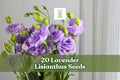 20 Lavender Lisianthus Seeds – Eustoma grandiflorum, Ornamental Flower for Garden Beds & Cut Flowers