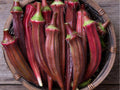 Red Burgundy Okra Seeds – Heirloom Non-GMO Deep Red Pods Abelmoschus esculentus