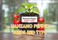 Manzano Pepper Seeds Red 24 Premium Rocoto Chili Capsicum Pubescens for Gardening and Cooking