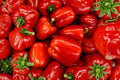 California Wonder 300 Pepper Seeds – Heirloom Sweet Bell Peppers for Fresh Eating, Stuffing, Cooking, 25 Seeds