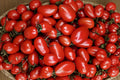 Heirloom Roma Tomato Seeds – High Yield, Non-GMO for Canning & Sauce, Oblong Plum Variety, Solanum lycopersicum