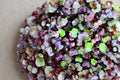 Triton Purple Stem Radish Seeds – Heirloom Vegetable Seeds for Crisp Roots & Colorful Stems, 100 Pack