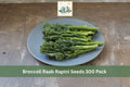 Broccoli Raab Rapini Seeds 300 Pack – Brassica rapa, Leafy Green, Cool Season Vegetable for Garden, Raised Beds, Kitchen Garden