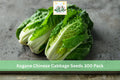 Kogane Chinese Cabbage Seeds 300 Pack – Brassica rapa subsp. pekinensis, Napa-style leafy vegetable for cool-season gardens