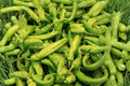 Pepperoncini Italian Sweet Pepper Seeds – Heirloom, Mild, Tangy, Pickling Variety, 25 Seeds