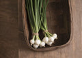 Blanco Duro Onion Seeds – Heirloom White Storage Onions for Garden Growing, Long-Day, 50 Seeds
