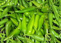 Lumbre Hot Pepper Seeds – 25 Heirloom Chili Seeds for Fiery Red Peppers, Garden Growing, Hot Sauce, Salsas, Drying