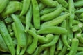 Hatch Rattlesnake Pepper Seeds – Heirloom Capsicum annuum, Hot Southwestern Chili, High Yield, Green to Red
