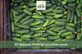 50 Seeds National Pickling Cucumber Heirloom Vegetable Garden