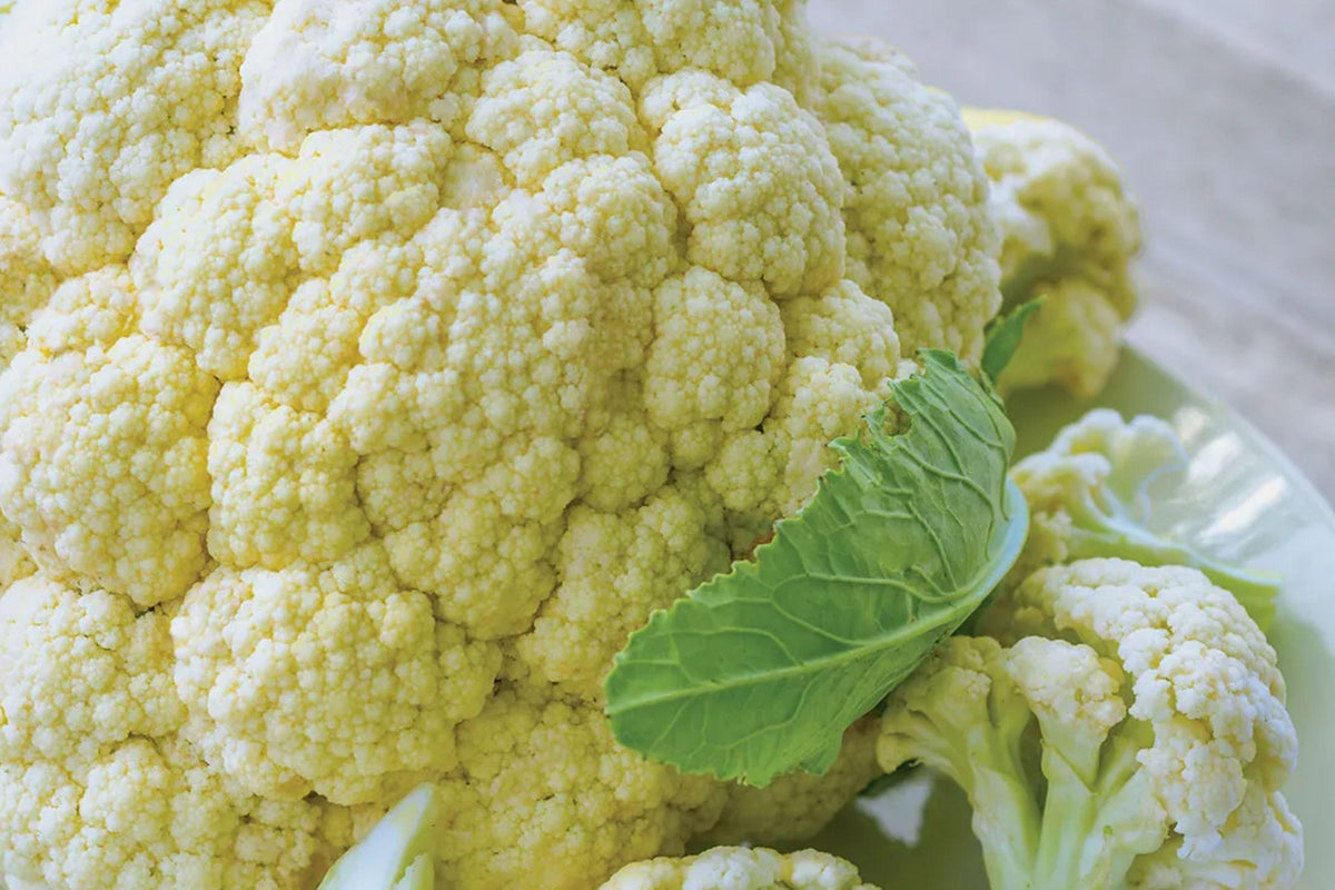 Self Blanching Cauliflower Seeds – Heirloom White Vegetable, Cool Season Crop, 500 Pack