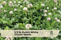 Dutch White Clover Seeds 1/2 lb | Perennial Ground Cover Trifolium repens for Lawns & Erosion Control