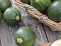 Round Zucchini Seeds – 10 Non-GMO Cucurbita pepo Summer Vegetable for Fresh Harvest