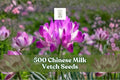 500 Chinese Milk Vetch Seeds – Astragalus sinicus Cover Crop, Pink to Purple Flowers, Annual Legume for Garden & Field Planting
