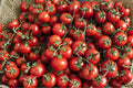 Heirloom Small Sweet Cherry Tomato Seeds – Non-GMO Vegetable Garden Plant for Containers & Raised Beds