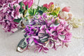 Tradescantia Nanouk Unrooted Cuttings – Pink, Purple & Green Variegated Houseplant, 3-4 Inch Trailing Indoor Plant