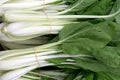 Dwarf White Stem Pak Choi Seeds – Organic Non-GMO Heirloom Vegetable for Container, Garden, and Raised Bed Growing