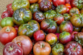 Cherokee Purple Tomato Seeds - Heirloom, Non-GMO, Beefsteak, Gourmet Flavor, Organic Gardening