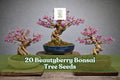 Beautyberry Bonsai Seeds – Callicarpa americana, Ornamental Shrub with Purple Berries, 20 Seeds