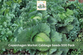500 Seeds Copenhagen Market Cabbage Brassica oleracea Vegetable