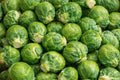 Long Island Improved Brussels Sprouts Seeds – 500 Non-GMO Heirloom Vegetable Seeds for Garden, Cool Season, Open-Pollinated