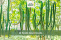 Snake Gourd Seeds – 10 Lagenaria siceraria Vining Vegetable Seeds for Trellis & Vertical Gardens