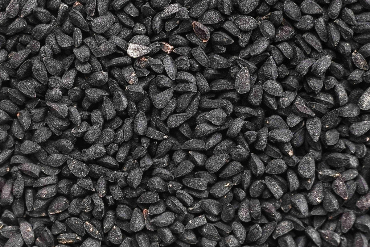 Black Cumin Seeds, Heirloom Nigella sativa, Culinary & Medicinal Herb, Blue Flowers, Non-GMO, Container-Friendly