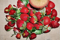 Honeoye Strawberry Plants – 20 Bare Root Fragaria × ananassa Fruit Plants for Garden, Container, Small Farm