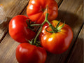 Floradel Tomato Seeds – 30 Count, Warm Climate, Slicing Red Tomatoes, Solanum lycopersicum