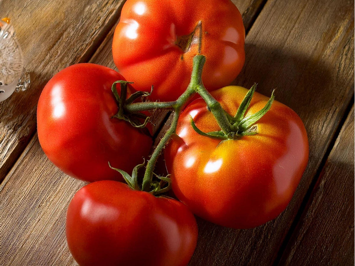 Floradel Tomato Seeds – 30 Count, Warm Climate, Slicing Red Tomatoes, Solanum lycopersicum