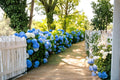 Blue Hydrangea Plants – 2 Live Hydrangea macrophylla Shrubs with Large Blue Flowers, 18 Inches Tall, Deciduous Flowering Garden Plants