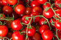 Sweetie Cherry Tomato Seeds - Heirloom Non-GMO High Yield Garden Vegetable for Organic Growing