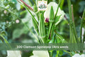 Clemson Spineless Okra Seeds – Heirloom Vegetable Seeds for Garden, Container, or Raised Bed Planting, Abelmoschus esculentus, 100 Seeds