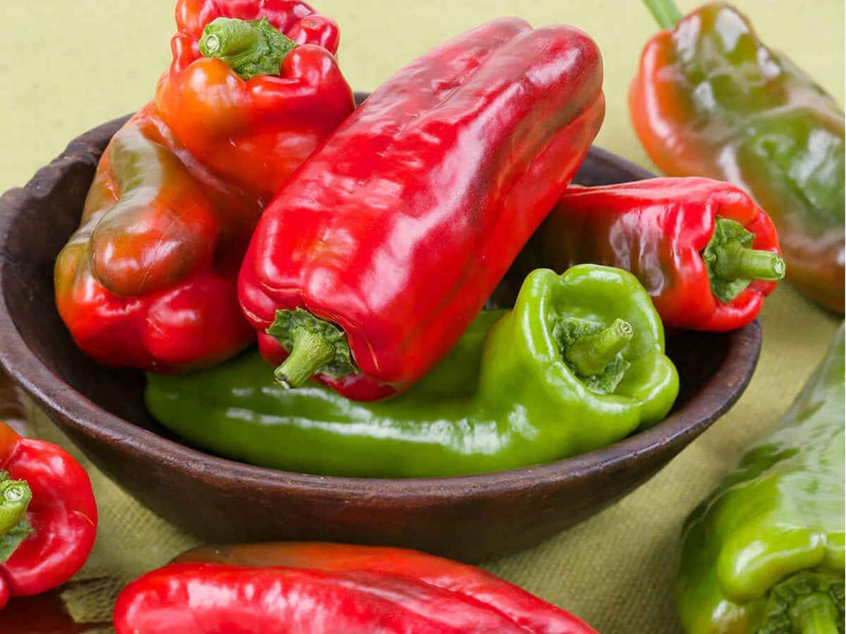 Giant Marconi Red Pepper Seeds – 25 Non-GMO Italian Sweet Pepper Seeds for Roasting and Cooking (Capsicum annuum)