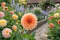 Diana Parks Double Peony Bulb – Live Red Perennial Flower Plant, Paeonia lactiflora, Garden Flower, Cut Flower, Easy to Grow