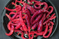 Heirloom Cubanelle Sweet Frying Pepper Seeds | Mild Flavor, High Yield, Cooking Garden Plants (50+)