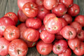 German Johnson Heirloom Organic Pink Beefsteak Tomato Seeds – Indeterminate, Non-GMO, Large Fruit, Garden, Container Planting