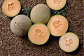 Honey Rock Cantaloupe Seeds – Heirloom Non-GMO High-Yield Vining Fruit for Garden Planting