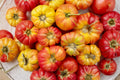 Vintage Wine Striped Heirloom Tomato Seeds – Rare Beefsteak, Indeterminate, 120+ Seeds for Large, Flavorful Fruits