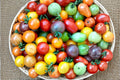 Rainbow Cherry Tomato Seeds – Heirloom Non-GMO Mix for High Yield, Small Sweet Fruit, Indeterminate, 30+ Seeds