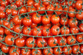 Sweetie Cherry Tomato Seeds – Organic Non-GMO Heirloom Indeterminate Garden Planting, Bright Red Juicy Fruit