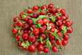 Red Cherry Pimenta Pepper Seeds – Heirloom Organic Non-GMO Spicy Garden Planting, 60+ Seeds, Compact Hot Pepper for Containers and Gardens