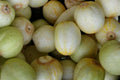 Lemon Cucumber Seeds, Heirloom, High Yield, Crisp Sweet Flavor, Round Yellow Cucumbers, Non-GMO, 100+ Seeds