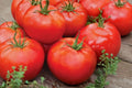 Big Boy Tomato Seeds, Large Red Slicing, Juicy Flavor, Indeterminate, Non-GMO, 120+ Seeds