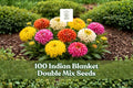 Indian Blanket Seeds - 100 Count Double Mix - Gaillardia pulchella - Red & Yellow Wildflower - Pollinator Friendly Garden Seeds