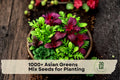 Asian Greens Mix Seeds – Microgreens & Baby Leaf Vegetable Seeds for Indoor & Outdoor Growing, Fast Germination