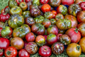 Heirloom Purple Tomato Seeds | Beefsteak Variety | Gourmet Flavor | Solanum lycopersicum