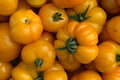 Chef’s Choice Red Tomato Seeds – 30+ Non-GMO Large Slicing Tomato Seeds, 2018 AAS Winner, Indeterminate, Rich Flavor