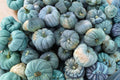 Jarrahdale Blue Pumpkin Seeds - Heirloom Non-GMO Storage Variety for Growing Blue-Gray Ribbed Pumpkins